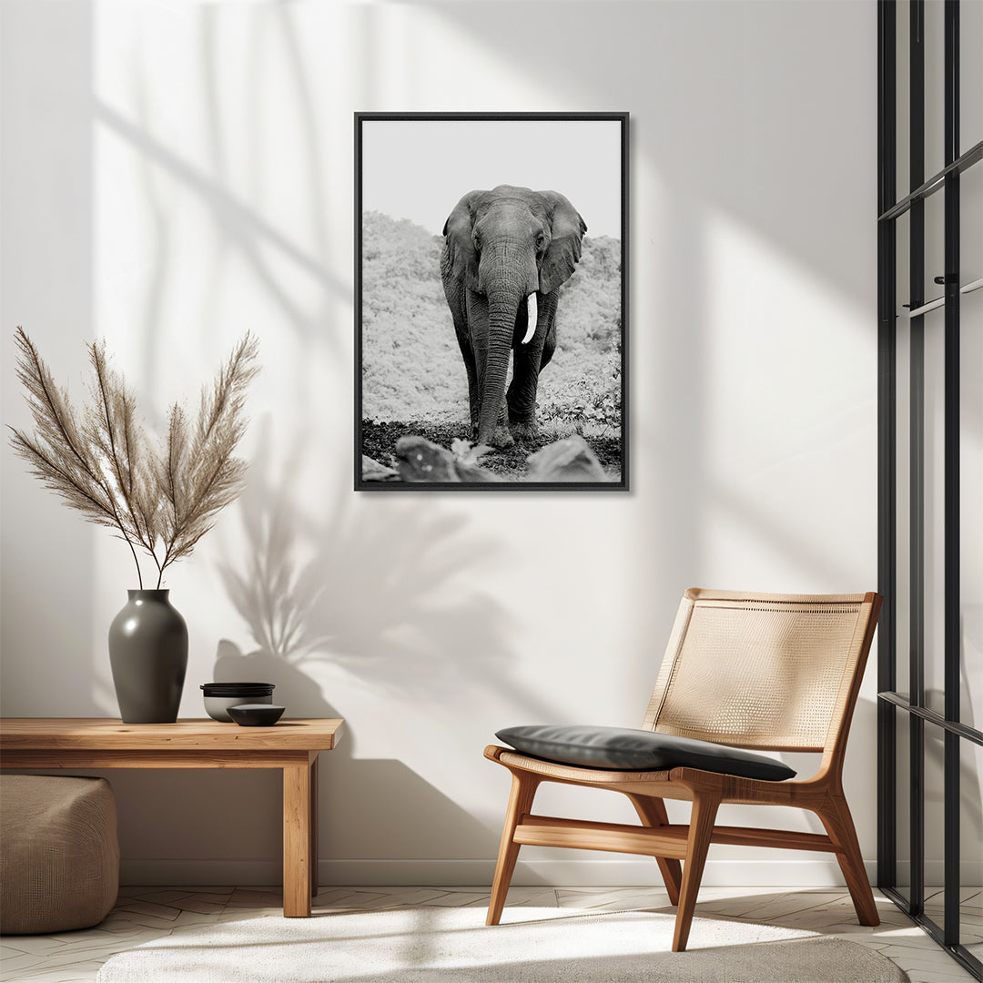 Quadro Elefante com Vidro Moldura 3D Preta - Grande 80x100cm