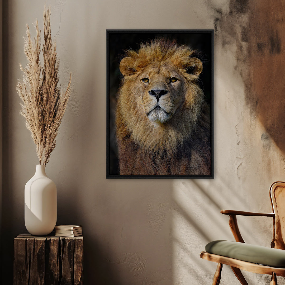 Quadro Leão c/ Fundo Preto Tela Fosca Moldura 3D Preta - Grande 80x100cm