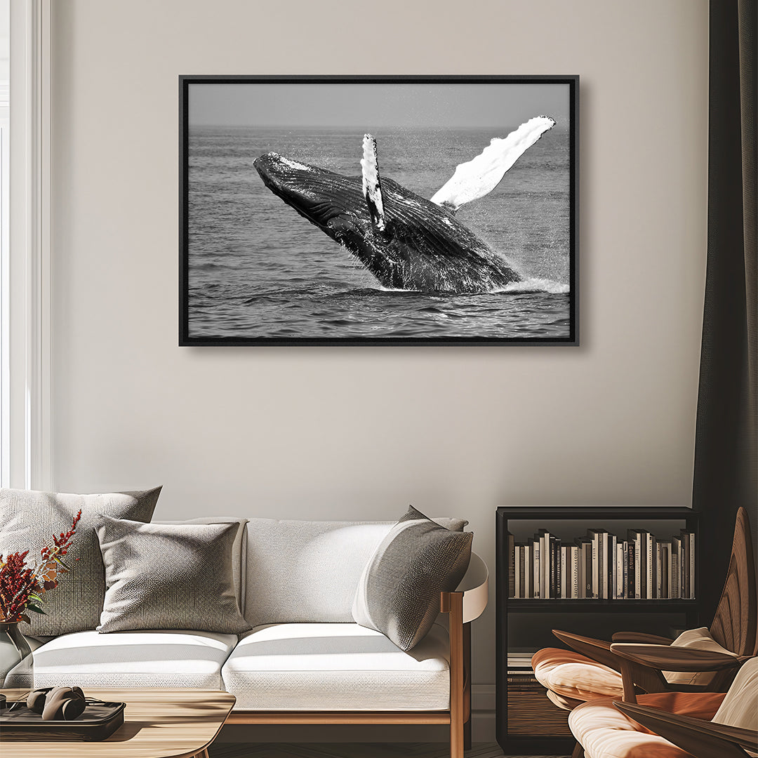 Quadro Baleia Jubarte Tela Fosca Moldura 3D Preta - Médio 90x60cm