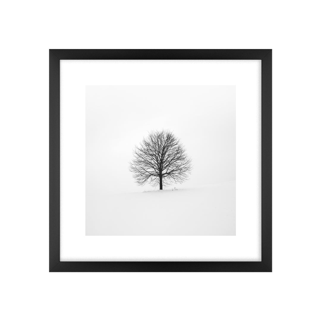 Quadro Árvore Seca Tela Fosca Moldura Preta - Pequeno 32x42cm