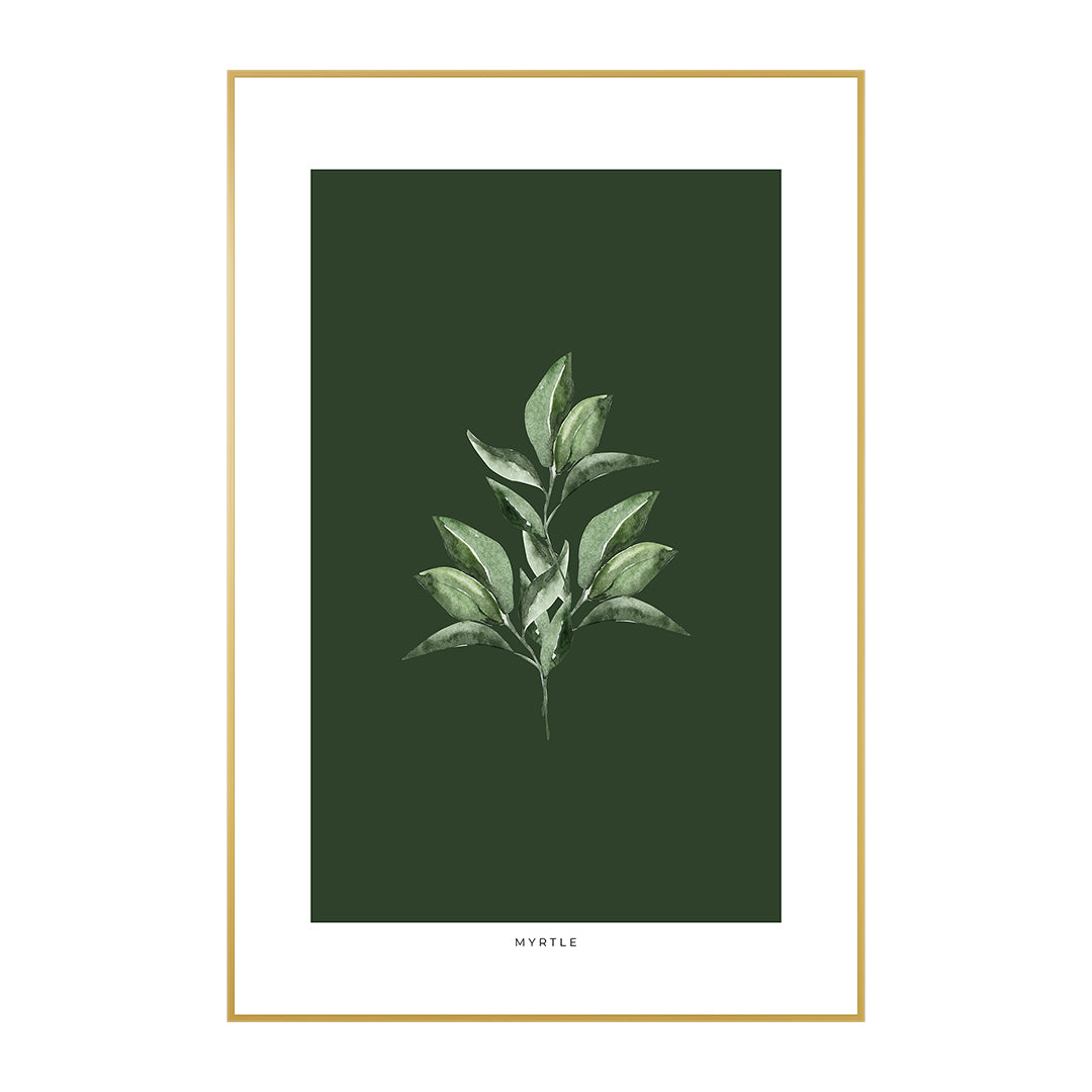 Quadro Planta Murta Tela Fosca Moldura Amadeirada - Médio 40x60cm