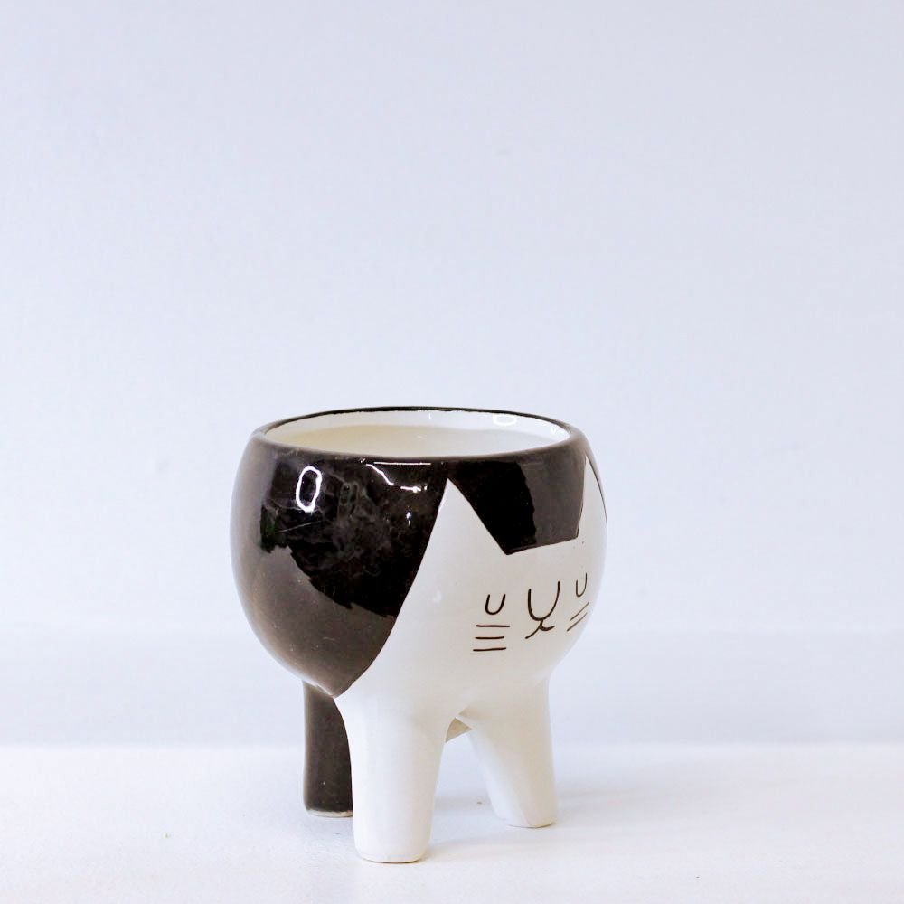 Cachepot Gato Tripé - MIni Vaso Decoração