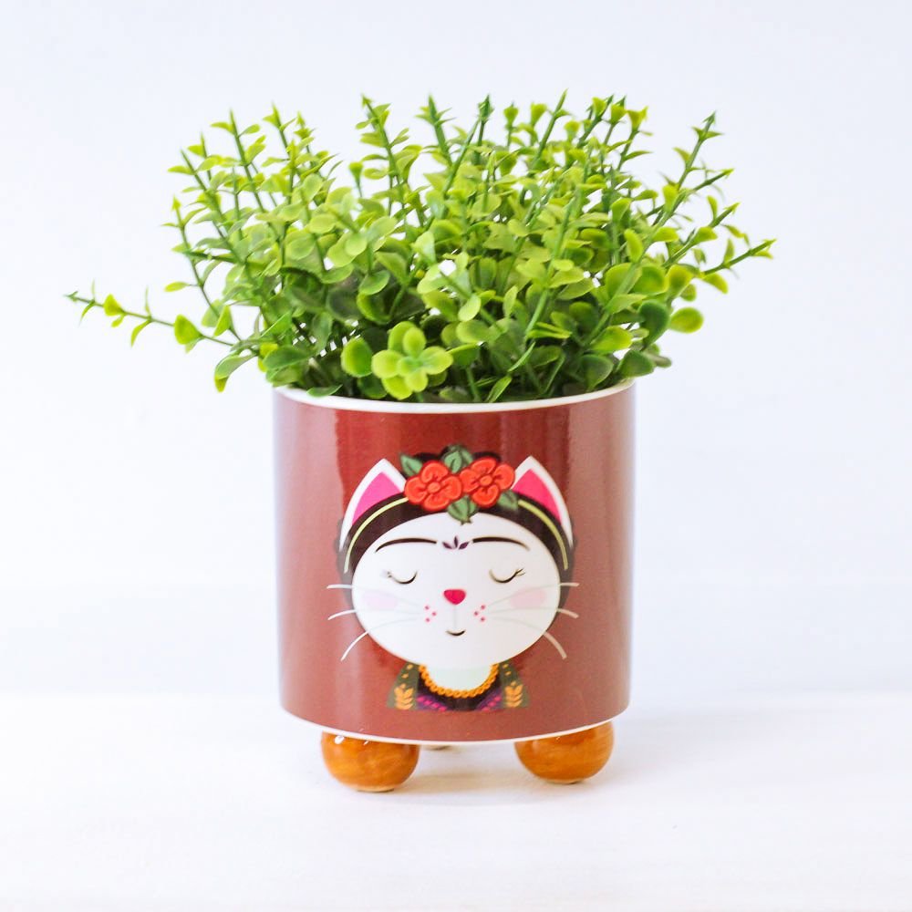 Cachepot Gato Frida - MIni Vaso Decoração