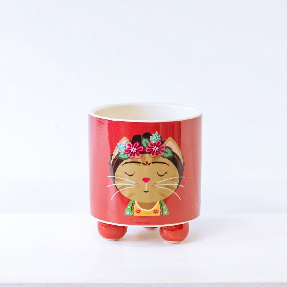 Cachepot Gato Frida - MIni Vaso Decoração