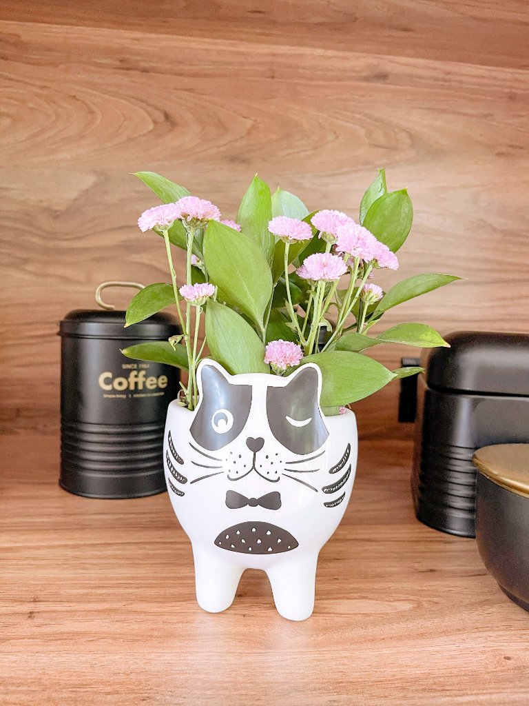 Cachepot Gato Cool - MIni Vaso Decoração