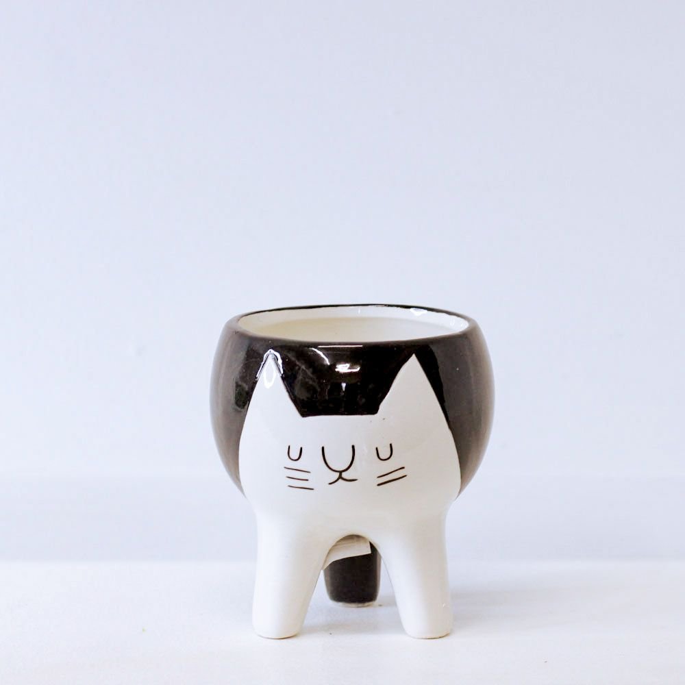 Cachepot Gato Tripé - MIni Vaso Decoração