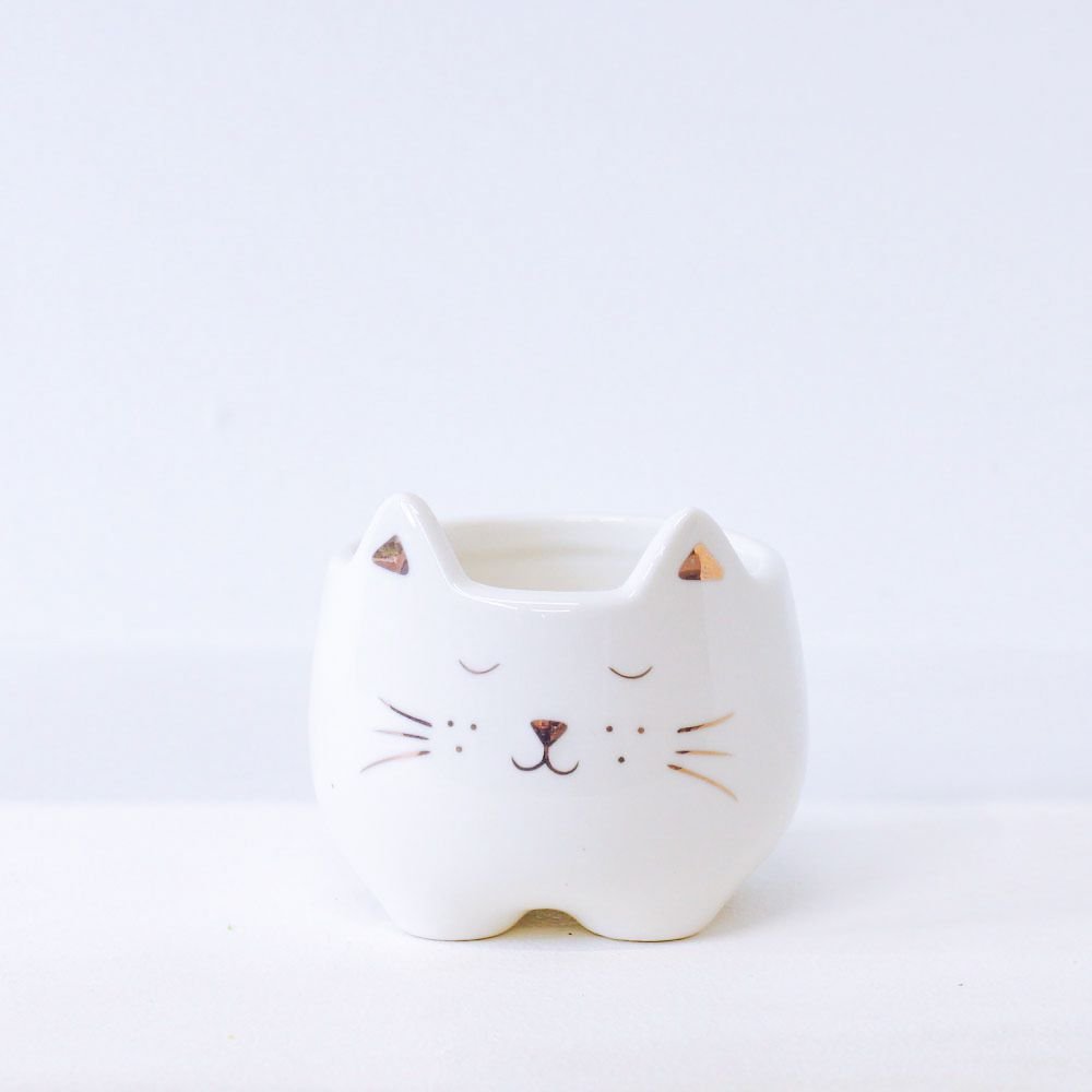 Cachepot Gatinho Rosê