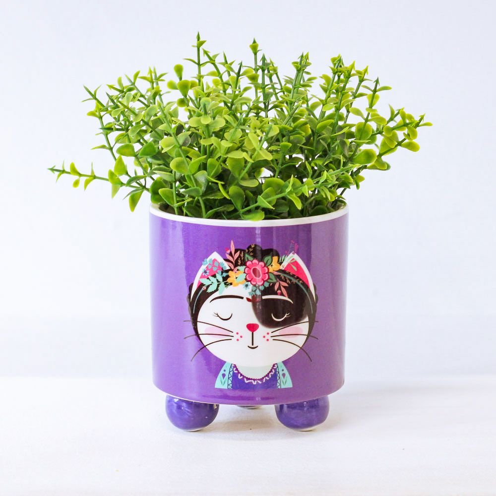 Cachepot Gato Frida - MIni Vaso Decoração
