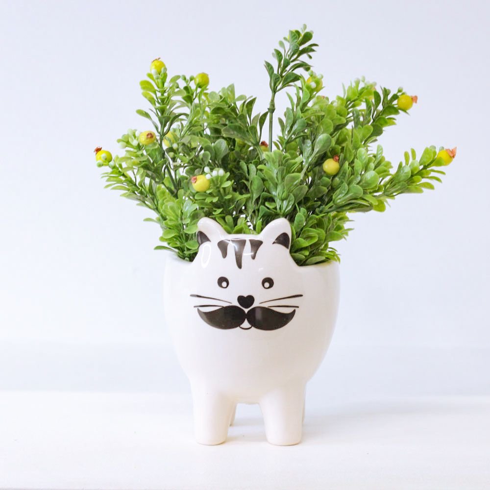 Cachepot Gato Cool - MIni Vaso Decoração