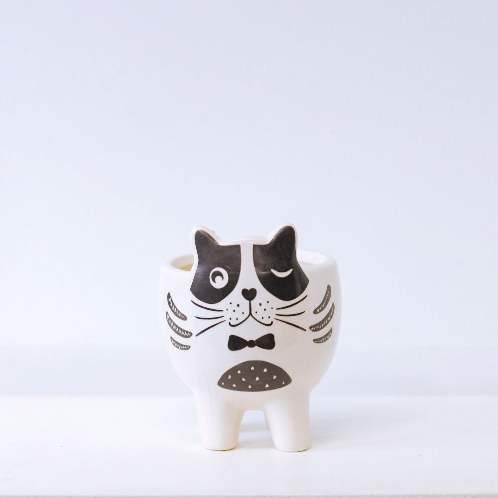 Cachepot Gato Cool - MIni Vaso Decoração