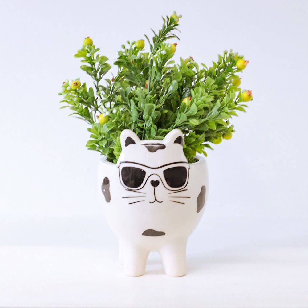 Cachepot Gato Cool - MIni Vaso Decoração