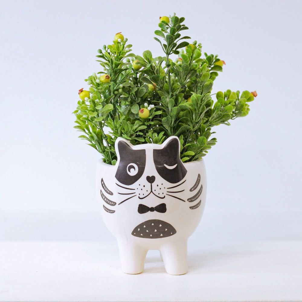 Cachepot Gato Cool - MIni Vaso Decoração