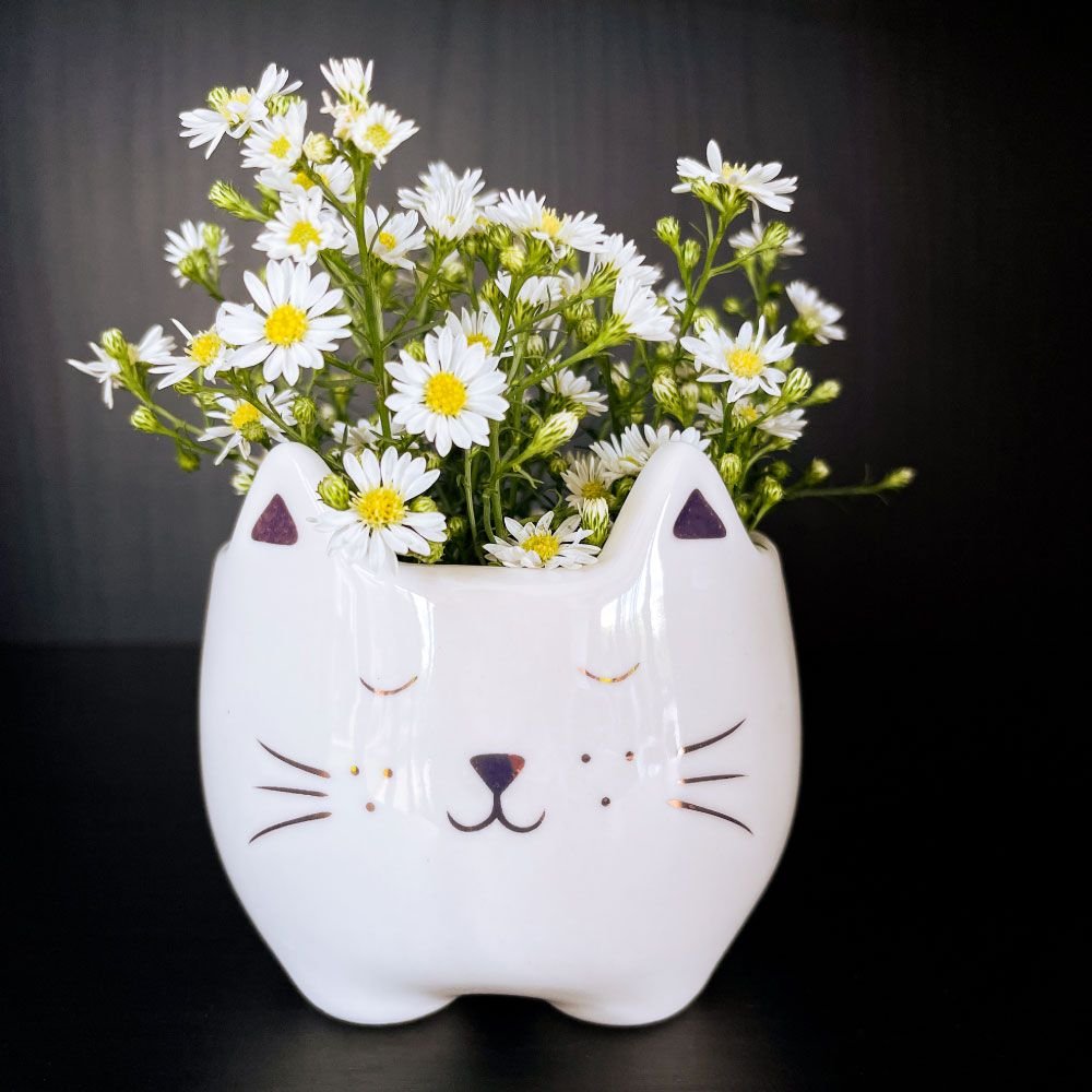 Cachepot Gatinho Rosê