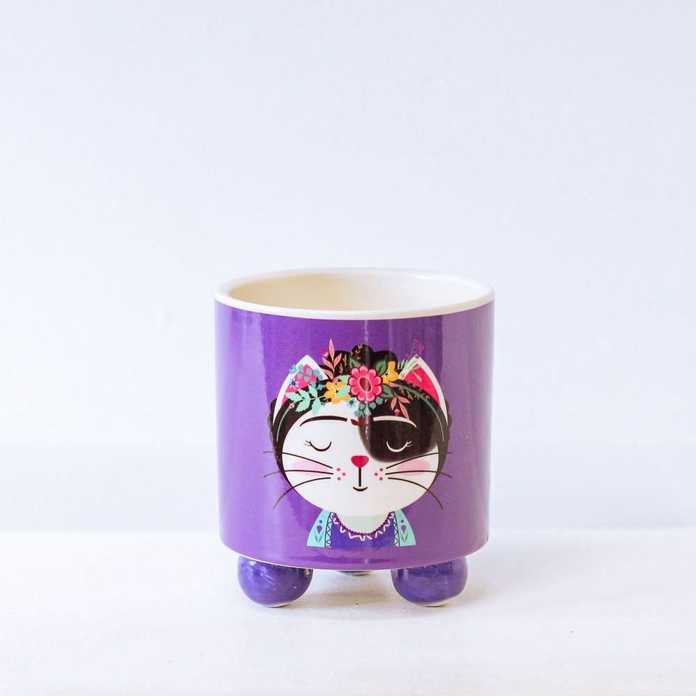 Cachepot Gato Frida - MIni Vaso Decoração