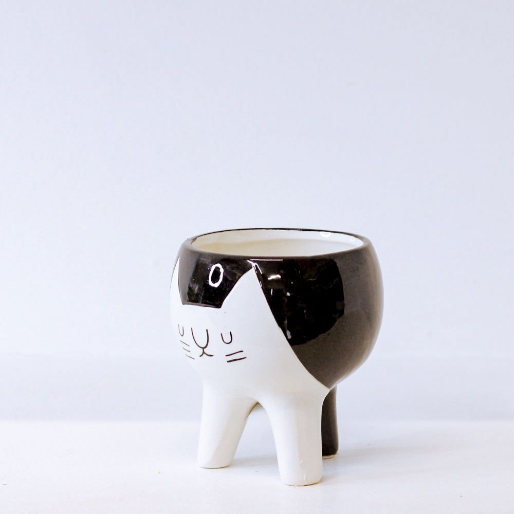 Cachepot Gato Tripé - MIni Vaso Decoração