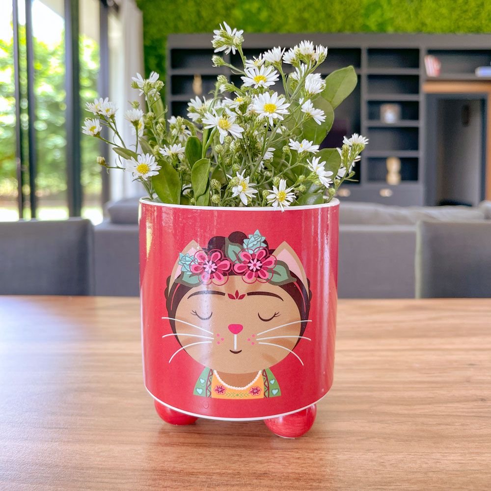 Cachepot Gato Frida - MIni Vaso Decoração
