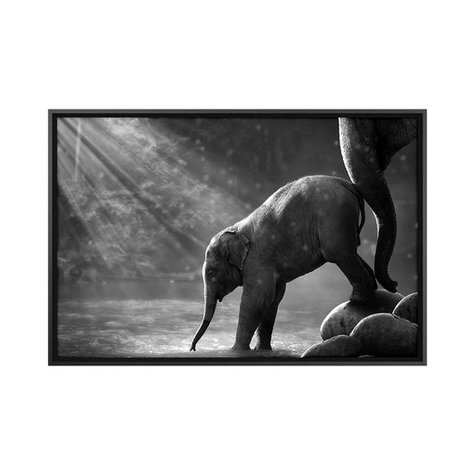 Quadro Mamãe Elefante e seu Filhote com Vidro Moldura 3D Preta - Médio 90x60cm