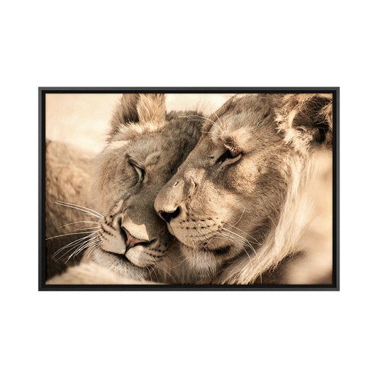 Quadro Casal Leão e Leoa Tela Fosca Moldura 3D Preta - Médio 90x60cm