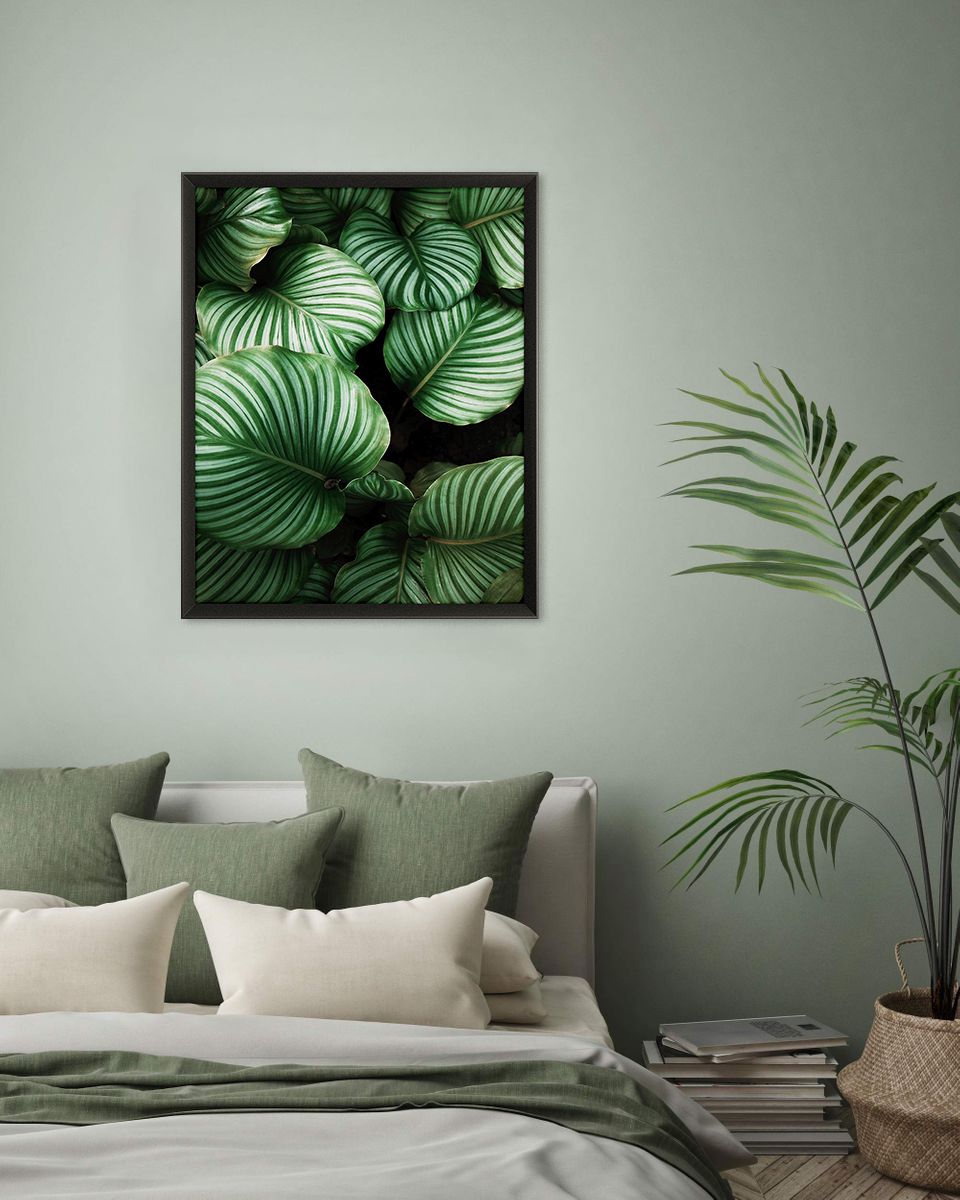 Quadro Planta Folhas Coração com e sem Vidro Moldura 3D Preta - Médio 50x70cm