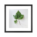 Quadro Botânico Folha Tela Fosca Moldura Preta - Pequeno 30x30cm