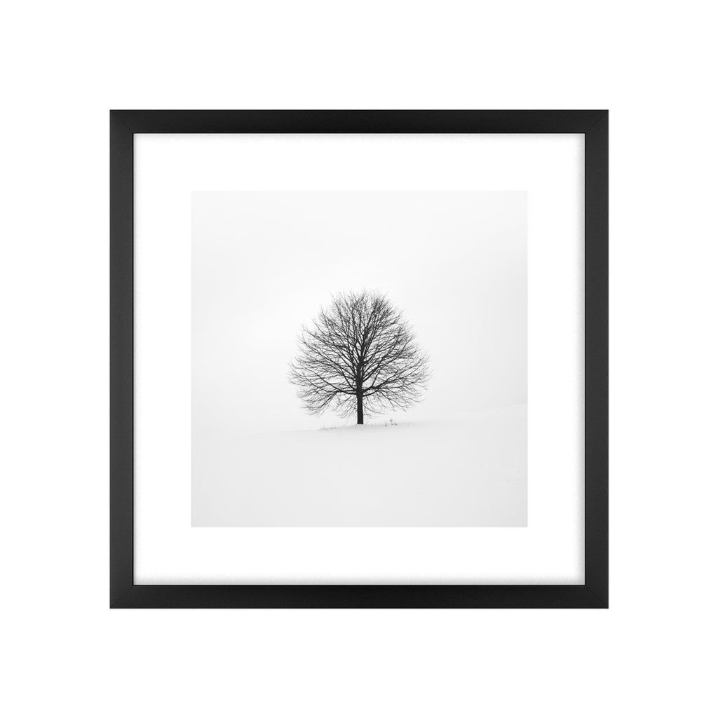 Quadro Árvore Seca Tela Fosca Moldura Preta - Pequeno 32x42cm