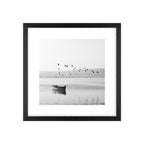 Quadro Pássaros Preto Branco Tela Fosca Moldura Preta - Pequeno 30x30cm