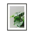 Quadro Vaso de Planta com e sem Vidro Moldura 3D Preta - Médio 50x70cm