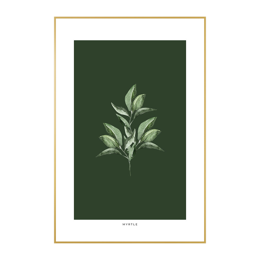 Quadro Planta Murta Tela Fosca Moldura Amadeirada - Médio 40x60cm
