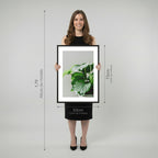 Quadro Vaso de Planta com e sem Vidro Moldura 3D Preta - Médio 50x70cm