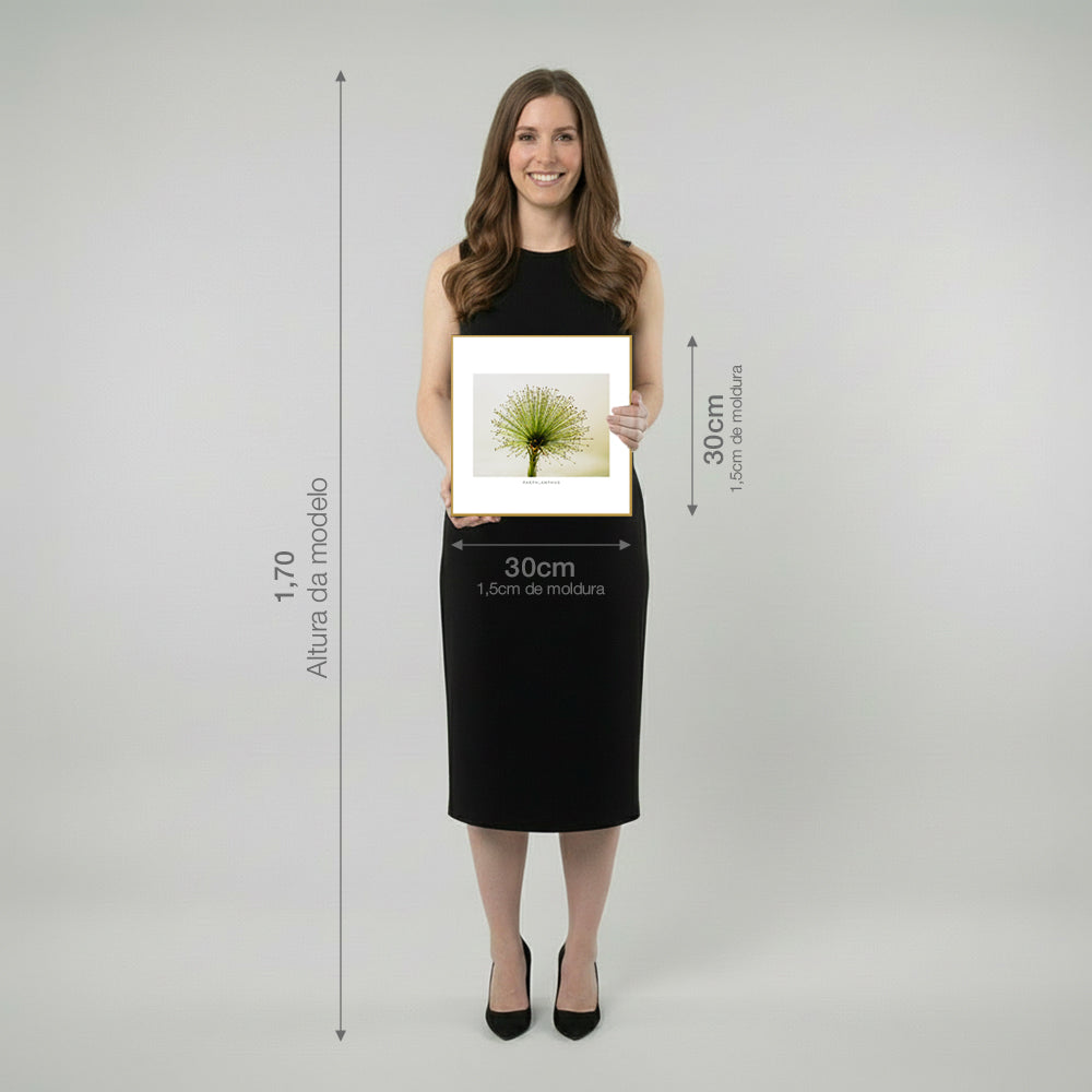 Quadro Planta Chuveirinho Tela Fosca Moldura Amadeirada - Pequeno 40x40cm