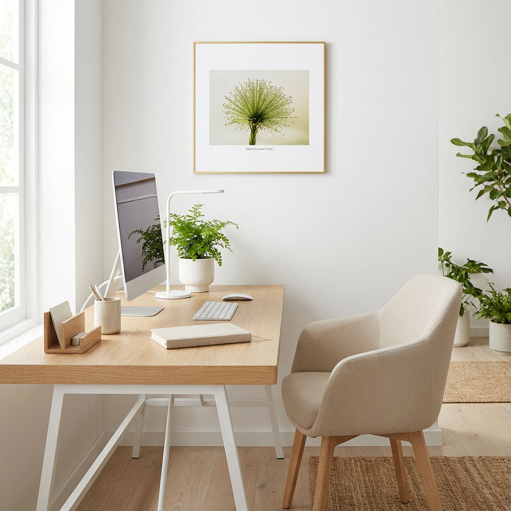 Quadro Planta Chuveirinho Tela Fosca Moldura Amadeirada - Pequeno 40x40cm