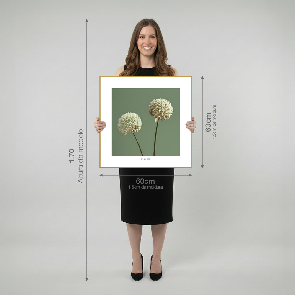 Quadro Flor de Allium Tela Fosca Moldura Amadeirada - Pequeno 40x40cm