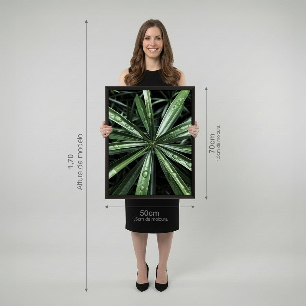 Quadro Planta c/ Gotas de Água com e sem Vidro Moldura 3D Preta - Médio 50x70cm