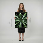 Quadro Planta c/ Gotas de Água com e sem Vidro Moldura 3D Preta - Médio 50x70cm