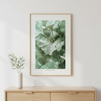Quadro Folhas com Orvalho Tela Fosca Moldura Amadeirada - Médio 40x60cm