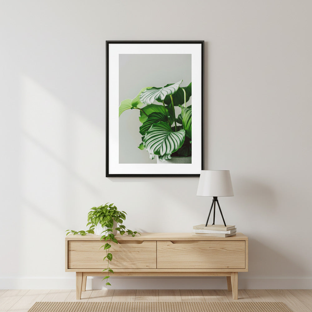 Quadro Vaso de Planta com e sem Vidro Moldura 3D Preta - Médio 50x70cm